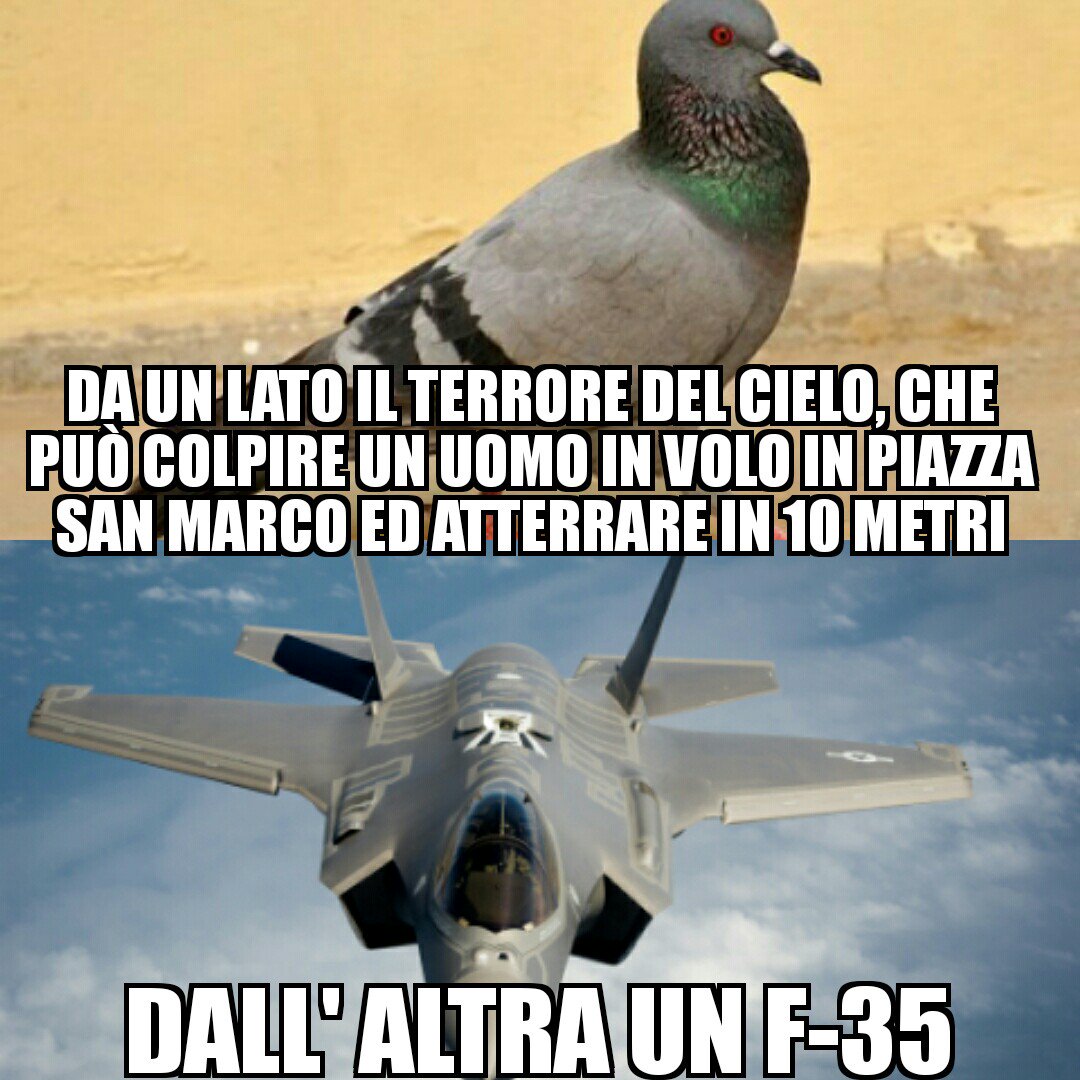 #orgoglioveneto#veneto