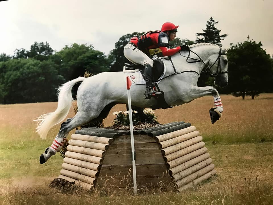 TarrantJake's tweet photo. #Dantastic tearing up the Cross Country course at @FarleyHallEC yesterday. #britisheventing #crosscountry #equestrian https://t.co/r2L1rP67Dr
