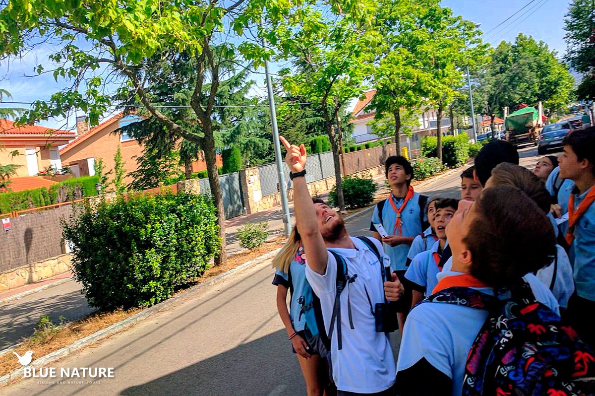 Buscando y diferenciando golondrinas, aviones y vencejos con <a href="/Caimanes284/">T.S.Caimanes</a> del <a href="/scouts284/">Grupo Scout 284</a> actividades de educación ambiental con #BlueNature