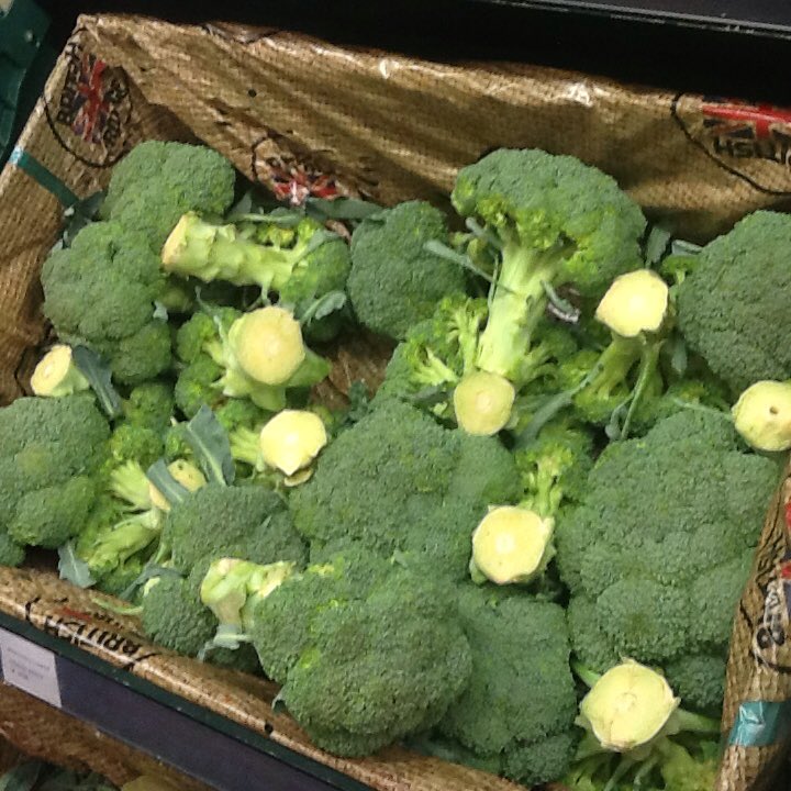 Think we might have found something green for our rainbow.