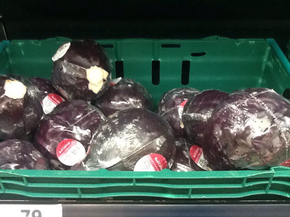 Harvey has found something purple.  Well done Harvey, that was tricky.