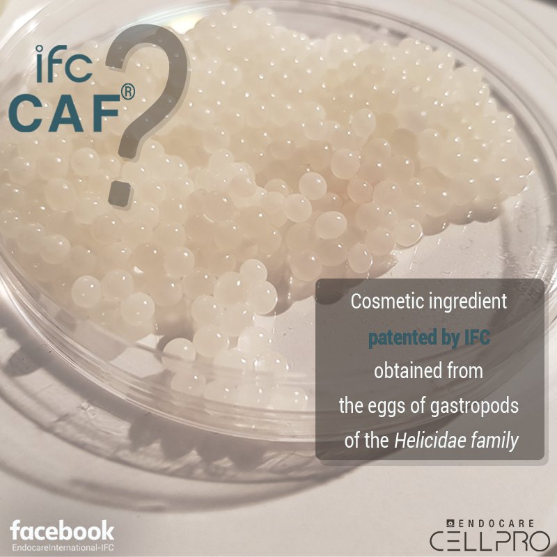 HenarAlvaro's tweet photo. What is IFC-CAF®?
https://t.co/W37qRW0Uzh
#SkinStemCells #EndocareCELLPRO https://t.co/JnTEQZY0CP