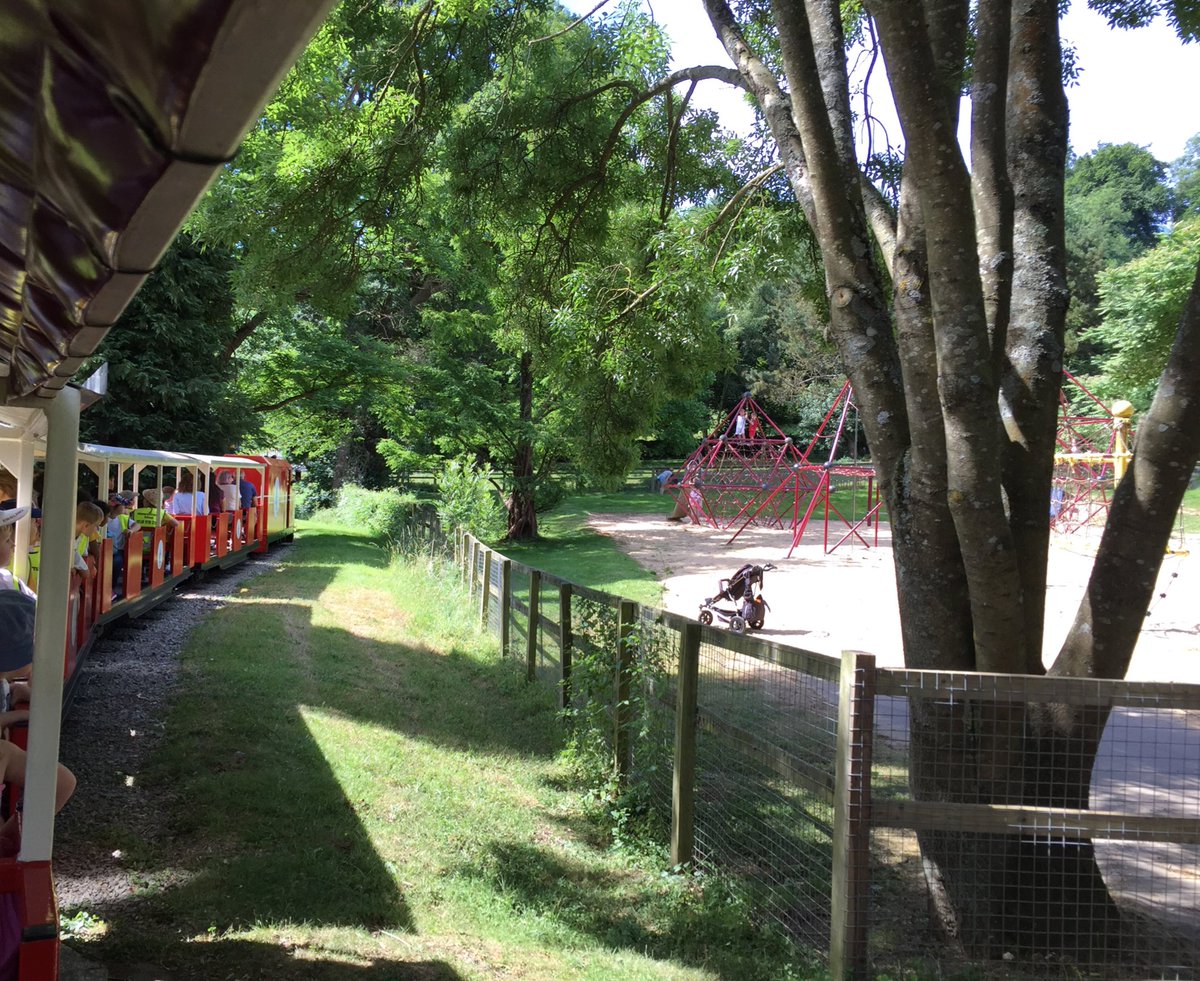 winnershprimary's tweet photo. Year 1 at Beale Park #y1adventure https://t.co/vOvrGCVjXe