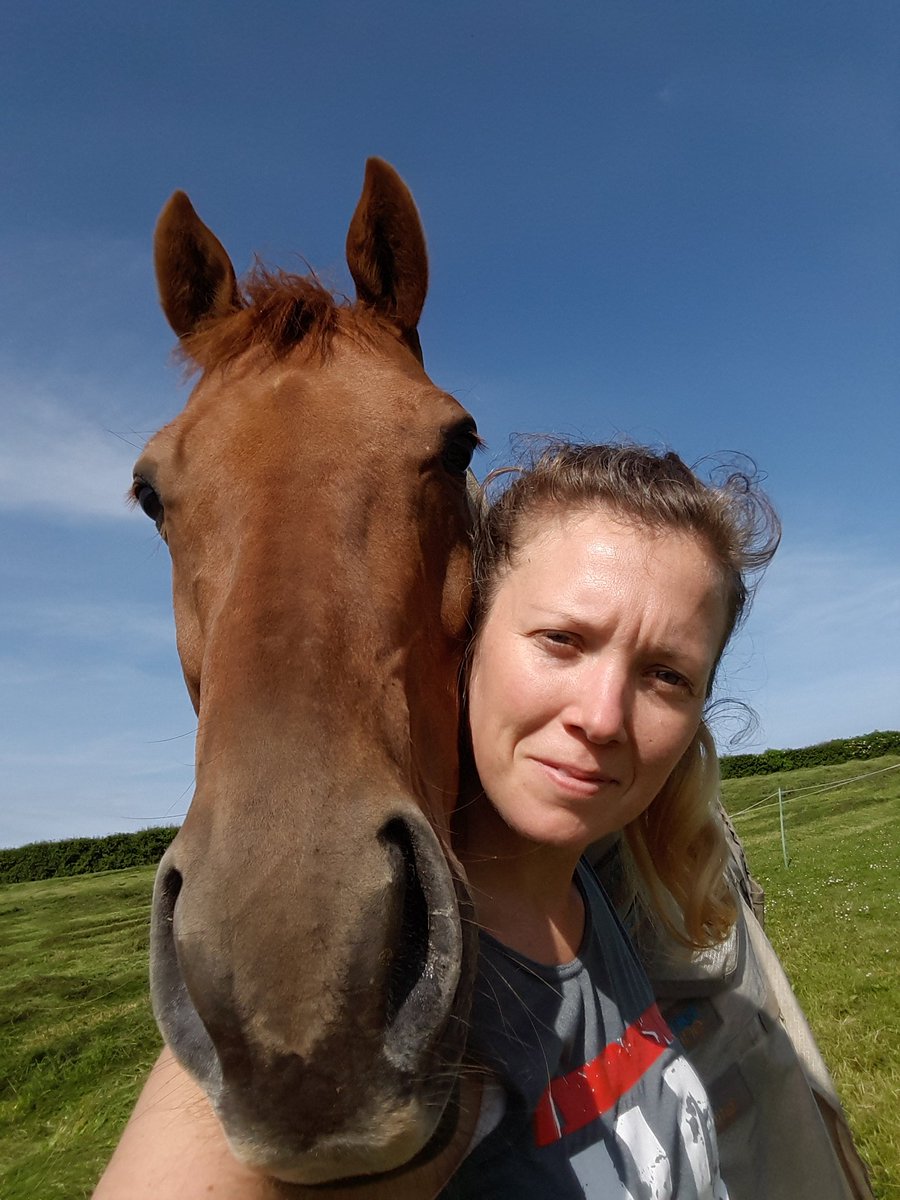 merrigo_round's tweet photo. @aponyhour My #EquineFriend life definitely hasn't been the same since he came into my life #MondayMotivaton #ponyhour #ExRacehorse ๐๐ https://t.co/mhTVN0Nl7J