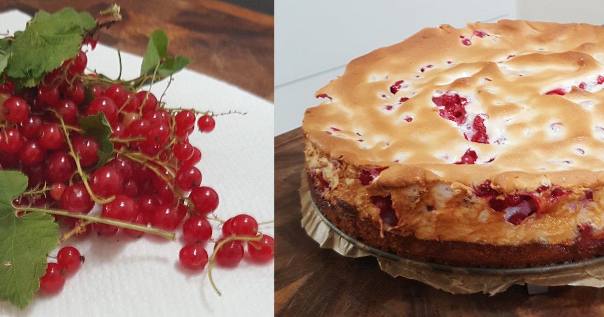 malerhartmann's tweet photo. Kundengeschenk: Herzlichen Dank an unsere Kundin für die köstlichen 😋 #Johannisbeeren aus eigenem Anbau - wurden gleich weiterverarbeitet! https://t.co/CHeHOpMy8m