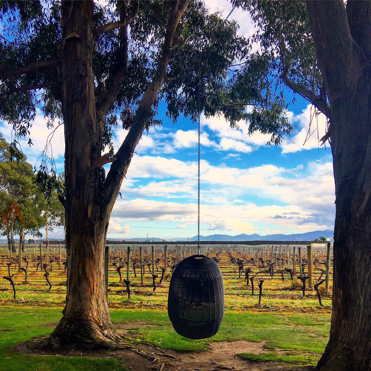 ooo_global's tweet photo. Just the best day 🍷🍷🍷 https://t.co/oE6SZ7UwcT