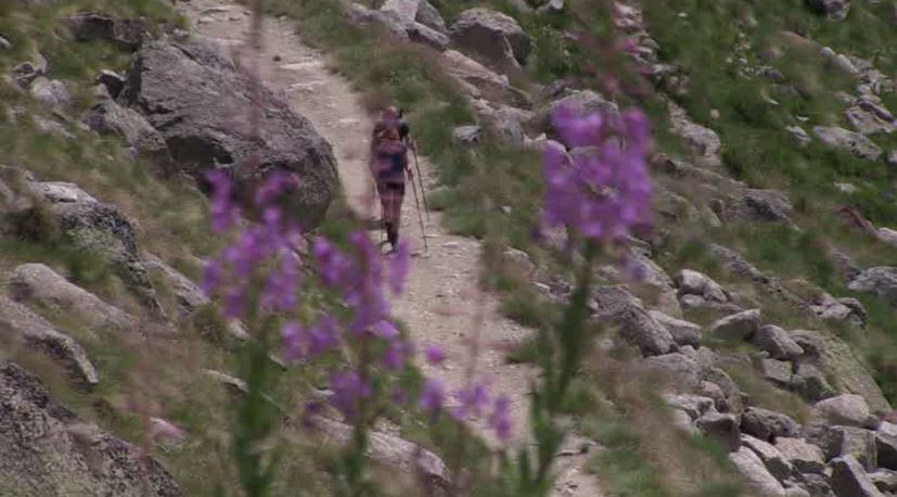 TgrRaiVdA's tweet photo. Tanti consigli agli escursionisti nel convegno #OltreLaMeta, svoltosi a #RhemesSaintGeorges @PNGranParadiso @CAI150 Vda. Seguiteci al Tg14 https://t.co/L8WOmqV7Dq