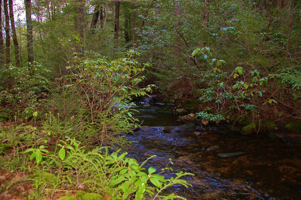 NorthQuabbinite's tweet photo. Briggs Brook Undiscovered https://t.co/QiXu6mW6K6 https://t.co/N8r5WGVNuF