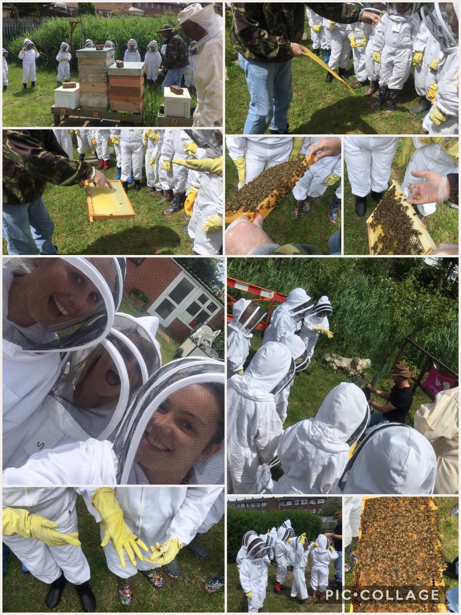 @Year4_Layton tweet media