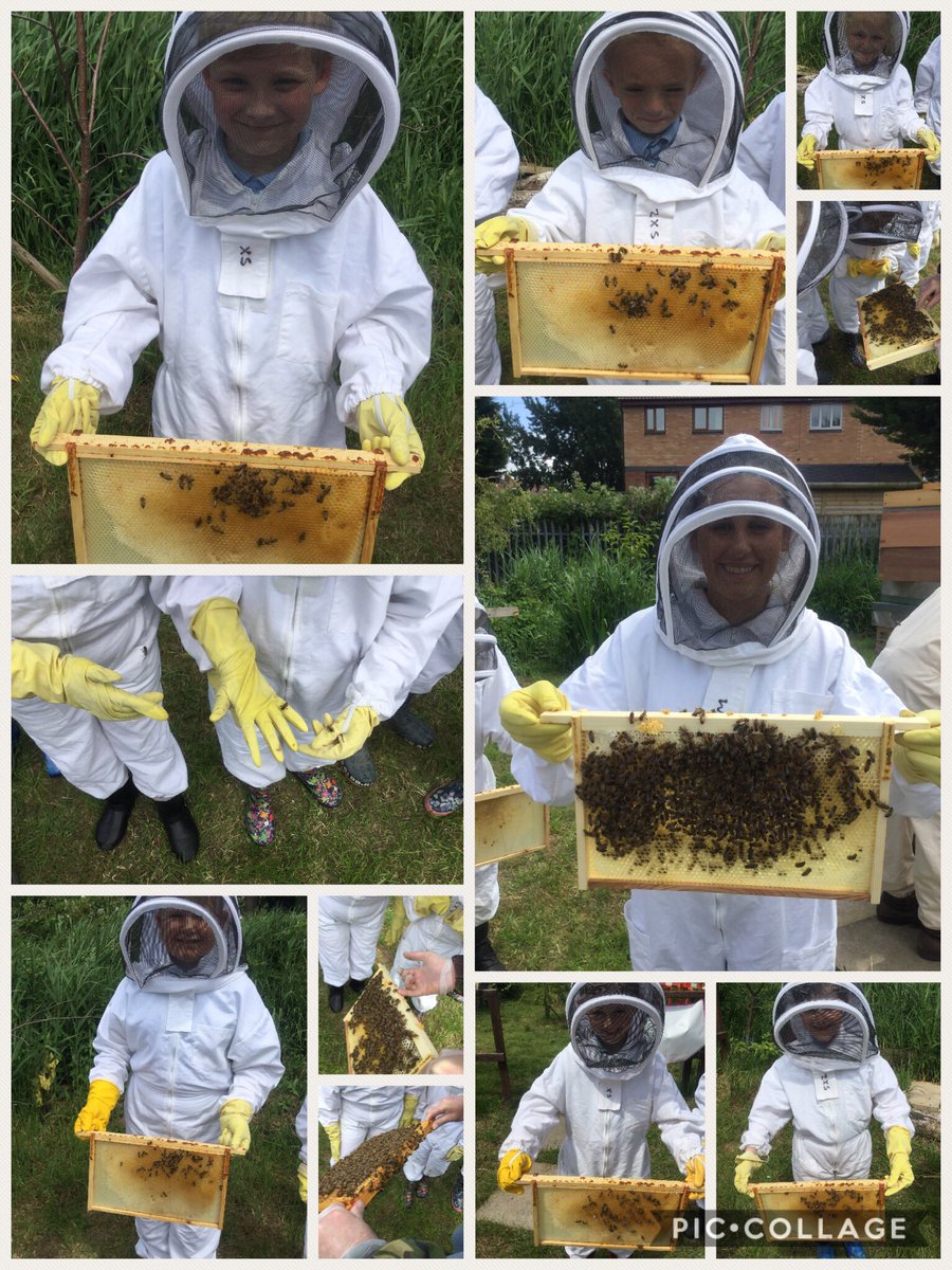 @Year4_Layton tweet media