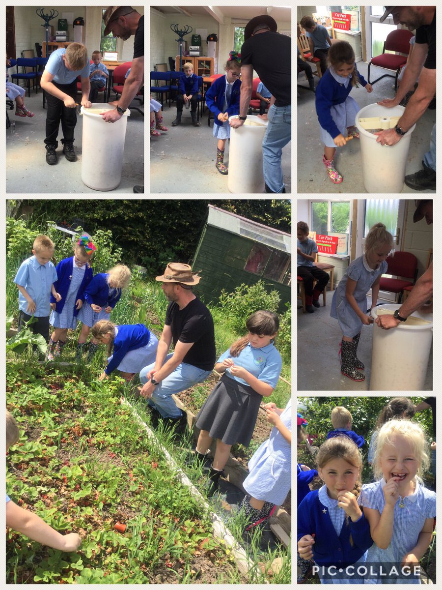 <a href="/Year3_Layton/">@Year4_Layton</a> enjoying a day out at Layton Allotments. We are learning about Pollen and how important bees are! 🐝🐝🐝