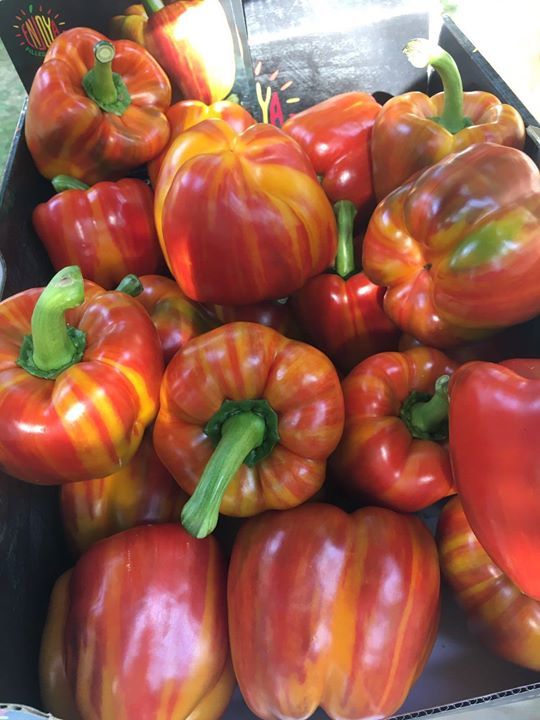 Enjoya Pepper (@enjoyapepper) on Twitter photo 