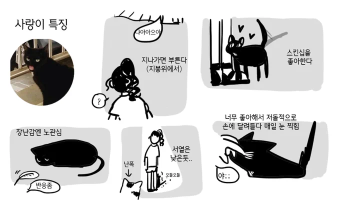 친한 고양이들 특징 