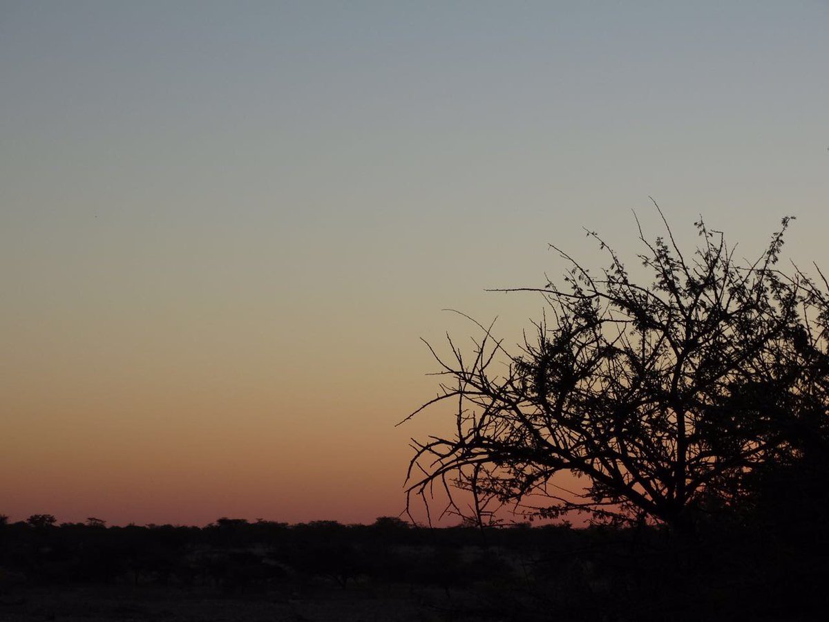 carfind_co_za's tweet photo. Day 8 - crossing into #Botswana tomorrow morning at #Muhembo and driving all the way down the #Okavango Delta
#charity #shoedrop #putfoot https://t.co/Rh0yIVtBkl