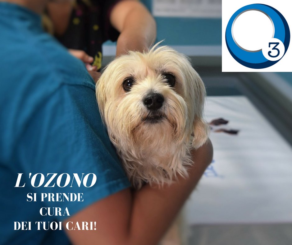 multiossigen's tweet photo. Perché utilizzare l’#ozono per la #sanificazione delle #ClinicheVeterinarie? Perché       favorisce l’abbattimento di cariche batteriche https://t.co/U6jln2tboh