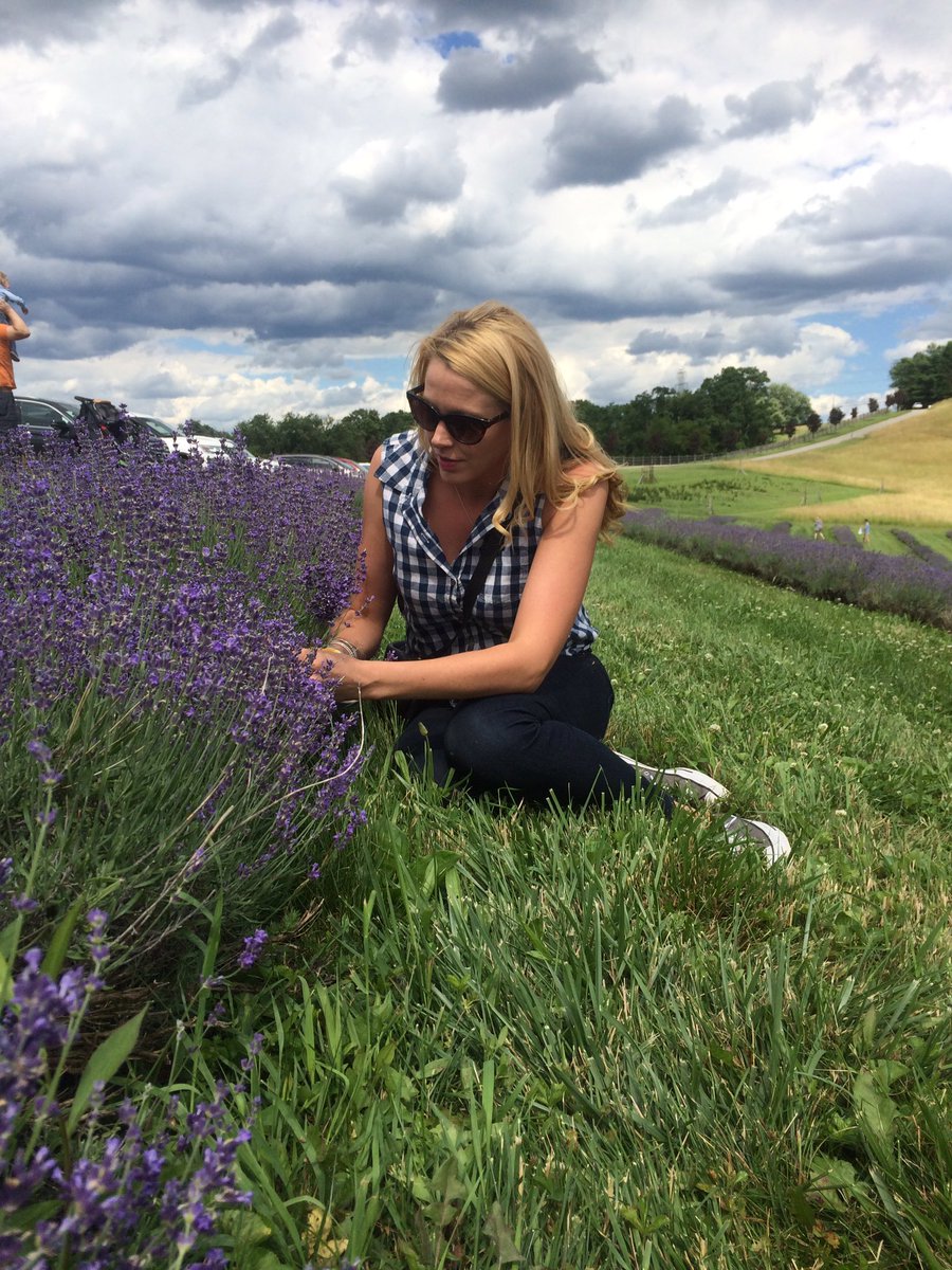 thehopproject's tweet photo. Elle, cutting lavender at Destiny Hill Farm yesterday. Beautiful day, beautiful lavender #PaLavender #PaFarming https://t.co/IC1a3QghG0