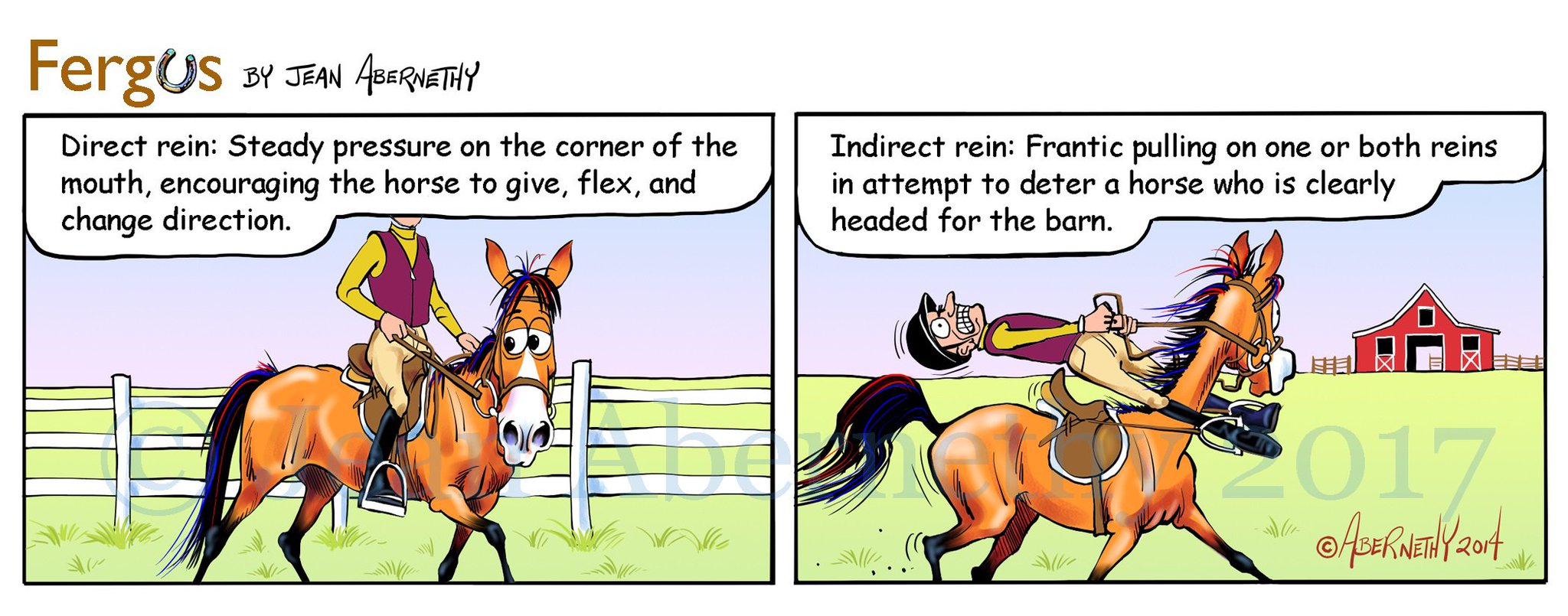 Fergus The Horse On Twitter Are You Following Fergus The Horse