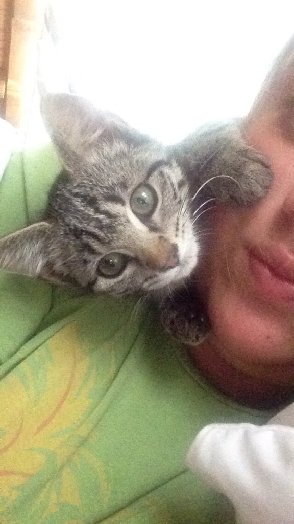 TaylorLizPettit's tweet photo. @TrumpetShopUK Penny would be the winner on that one https://t.co/d22zRz0QDL