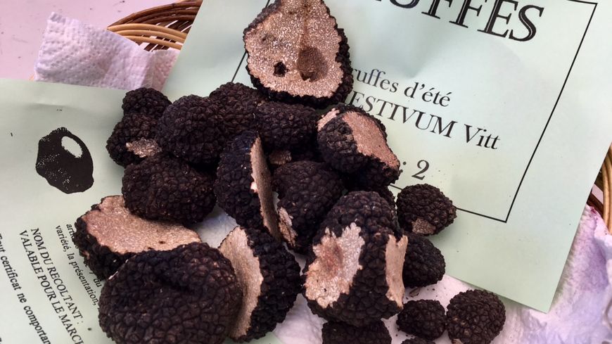 Conserviers24's tweet photo. La truffe blanche pointe le bout de son nez retrouvez-la au sein de notre #Dordogne pour le plaisir de vos papilles! https://t.co/fEtV2rRrvL https://t.co/mGmmNj4bfs