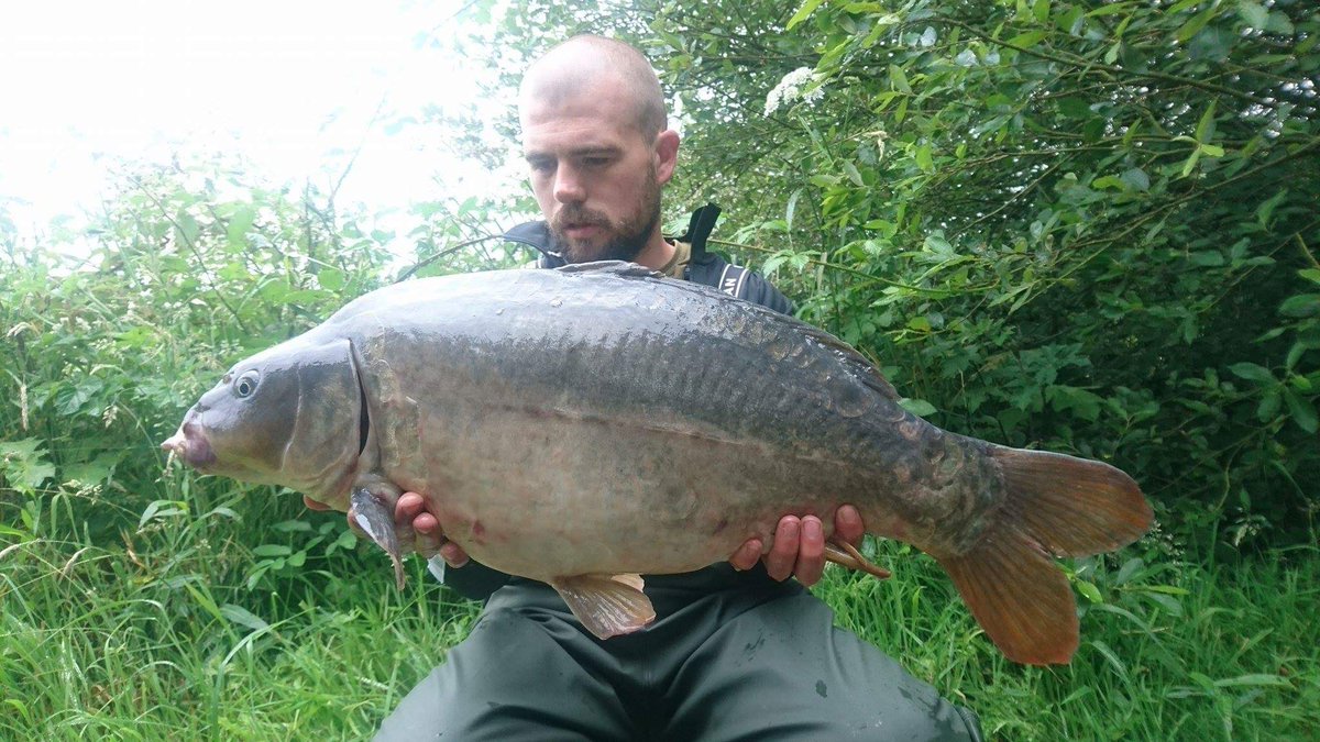 craigcarpman92's tweet photo. Trio of mirrors the blue mussel from Northern baits seems to be the one they can't refuse !! #carp #chunk @FoxInt https://t.co/yNJSpwV37h