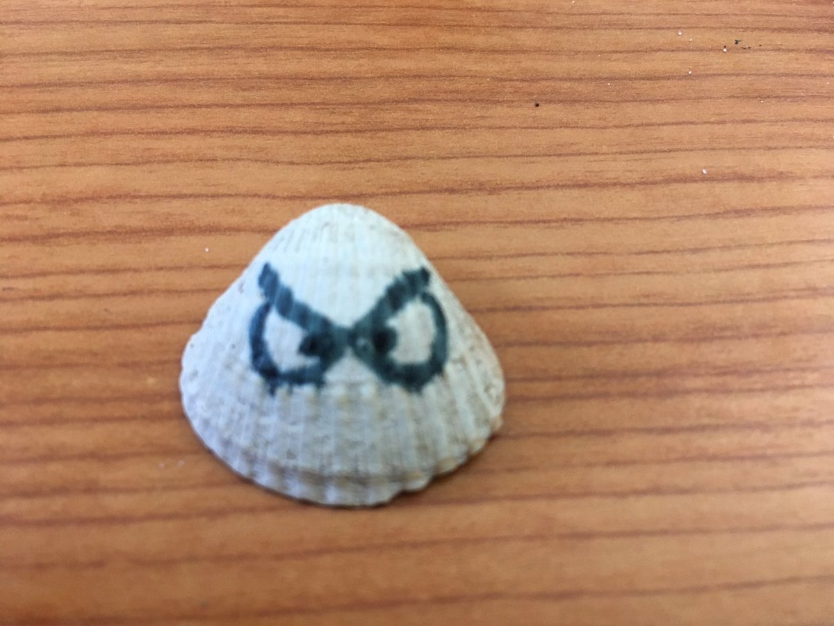 Herr_Anders's tweet photo. Da lag ne Miesmuschel am Strand. https://t.co/lsMBTm6bpW