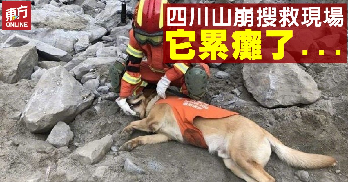 东方网orientaldaily Al Twitter 中国四川省阿坝茂县发生严重山崩掩埋村庄后 救难人员周日从土石中挖掘出更多罹难者遗体 使丧生人数增至25人 他们仍在搜寻93名失踪村民 但找到生还者的希望渐趋渺茫 搜救犬也因搜救强度大累瘫倒地 T Co Ebkzwh3yif