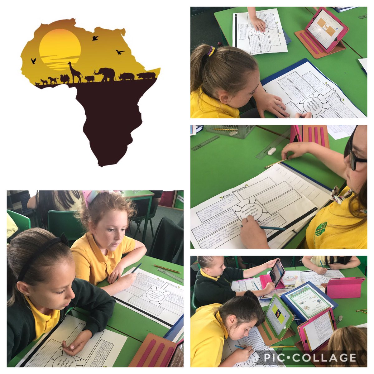 CGPrimary's tweet photo. 🦁🐆🌎C10 are loving leading their own learning! Carrying out research about Africa using the iPads &amp; library books! #CGPRich #CGPEng 🌎🐆🦁JK https://t.co/n6HM8Wt28d