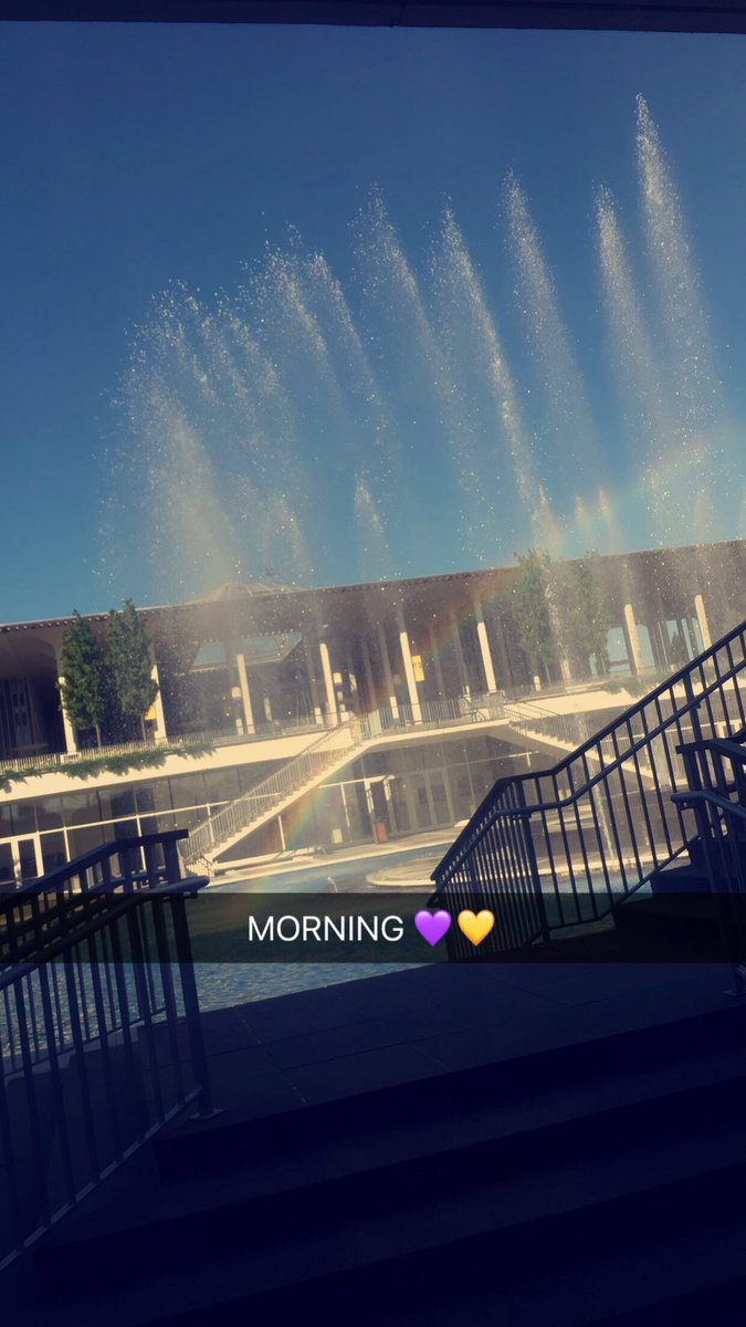 OL_BettyD's tweet photo. Great Day to be a Great Dane!! 💜💛 https://t.co/KqCvLieu3P