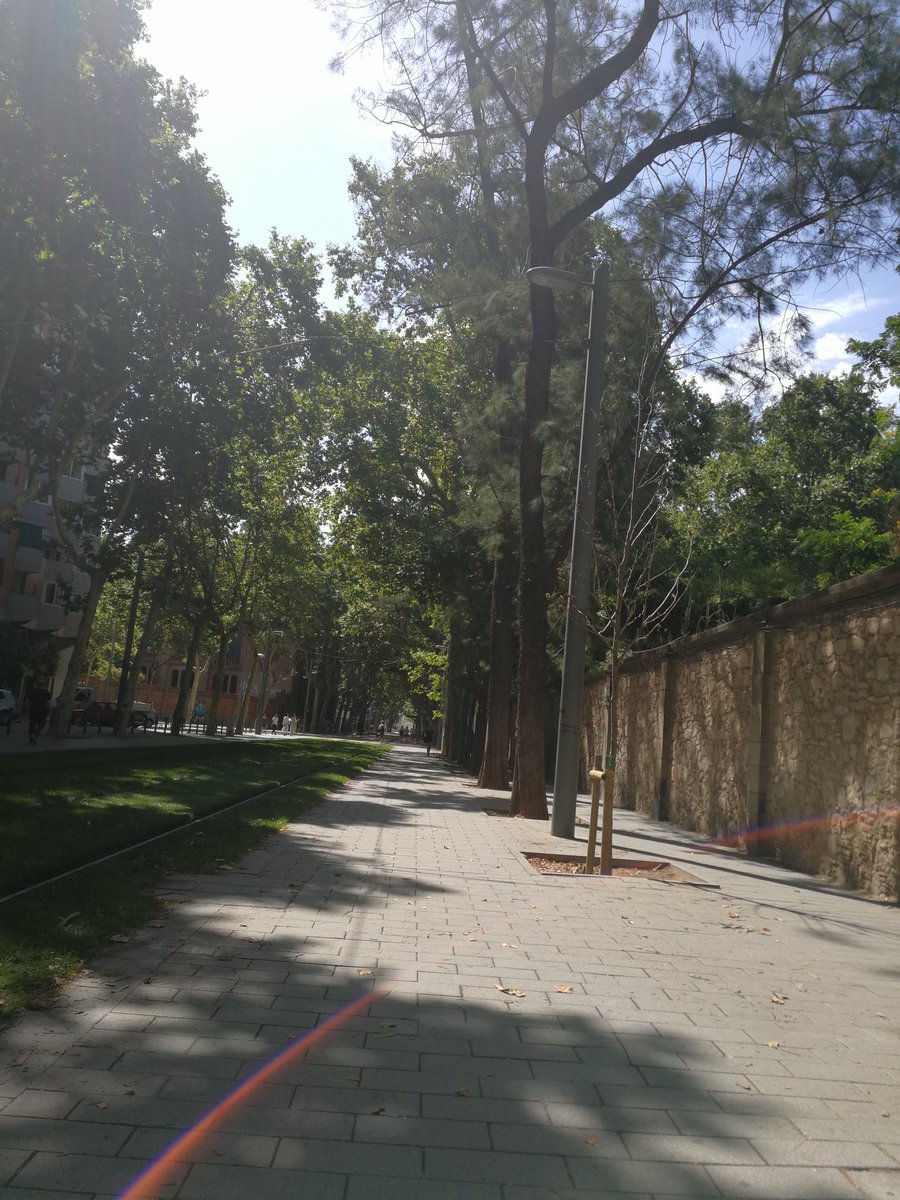 PatriLS9's tweet photo. Cuando sales contenta de hacer un examen, ves el solecito y piensas "por fin verano", pero NO, aún te queda UN examen, el PEOR...
#UPFRULES https://t.co/Tna6bPZ6FQ