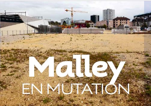 tl_actu's tweet photo. #MagazineConnexions :📢 nouveau numéro! Dossier spécial #Malley en mutation, futur hub des tl! https://t.co/pEH3ict6kr https://t.co/EsyUbxMrLk