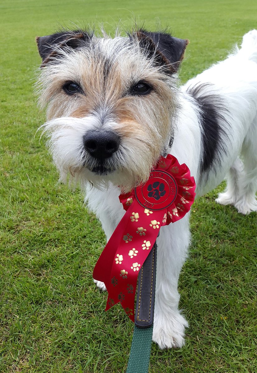 Clare Hockenhull tweet media