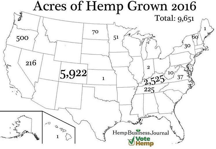 AmericanHemp's tweet photo. US acres of hemp grown in 2016 - Source @votehemp @hempbizjournal https://t.co/JdawTSmrae