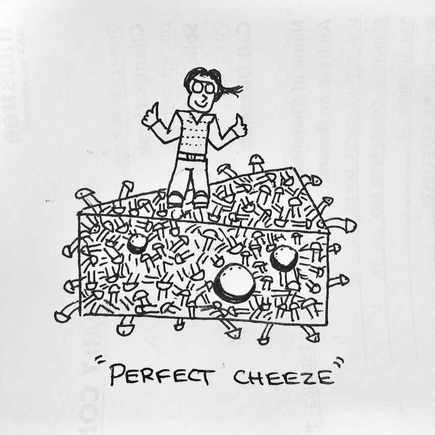 dickomics's tweet photo. Dan found perfect cheese to pack for your 1st lunch of the week. #HappyMonday #dickydoodles #dickomics https://t.co/YCQ307oZup https://t.co/EzPSZZaV9q