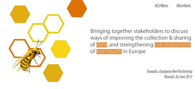 agriculture_ie's tweet photo. Dept’s Aisling Redmond is attending EFSA collecting &amp; sharing data on bee health:Towards an EU Bee Partnership in Brussels today #EU4BEES https://t.co/RP8L125dyA