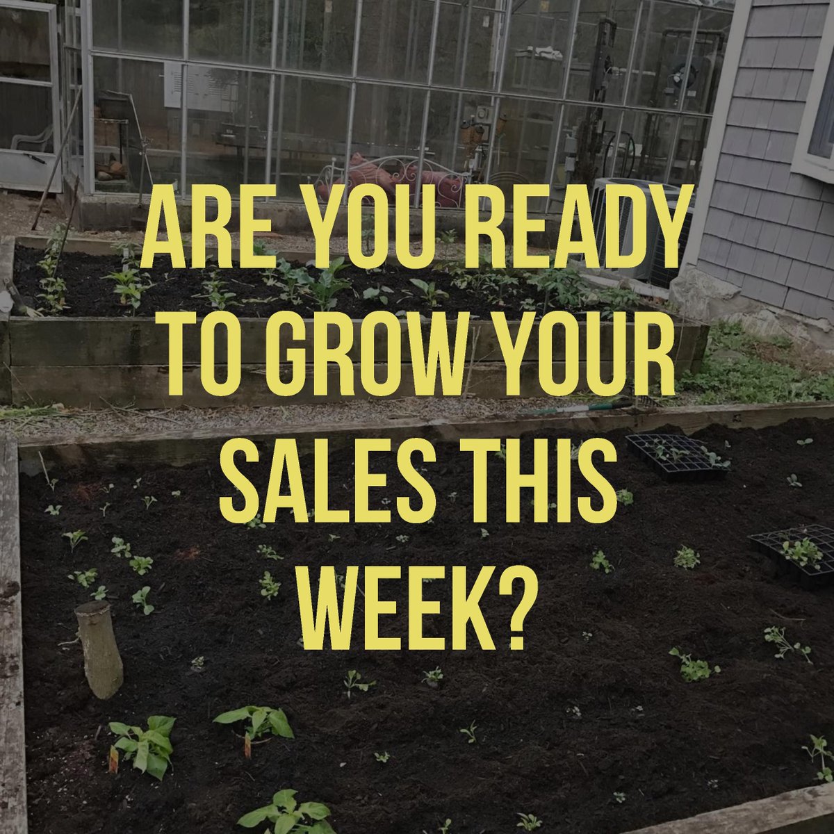 nealconlon's tweet photo. Are you ready to grow your sales this week?  Contact me to learn more about our workshops, sales sprints &amp; how we amplify #sales. https://t.co/VCbHxlwEmx