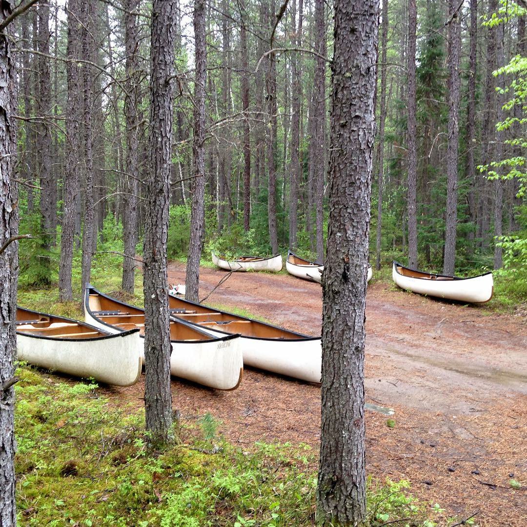 Ontario Outdoors (@outdoorsontario) on Twitter photo 