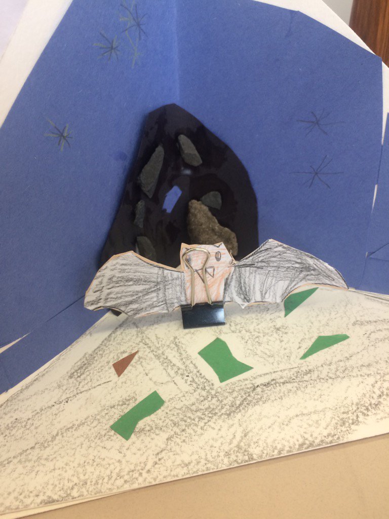 TBoone_Grade1's tweet photo. Bats eat frogs, lizards and mosquitoes! https://t.co/wgAcip9Kaw