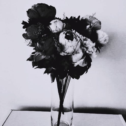 She was chaos and beauty intertwined. A tornado of roses from divine.