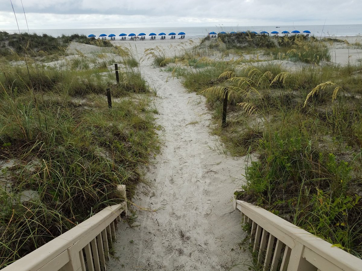 clintrob80's tweet photo. Good morning from HHI! @PalmettoDunesSC @BeachPropHHI #beach #lowcountry https://t.co/XZQen625i2