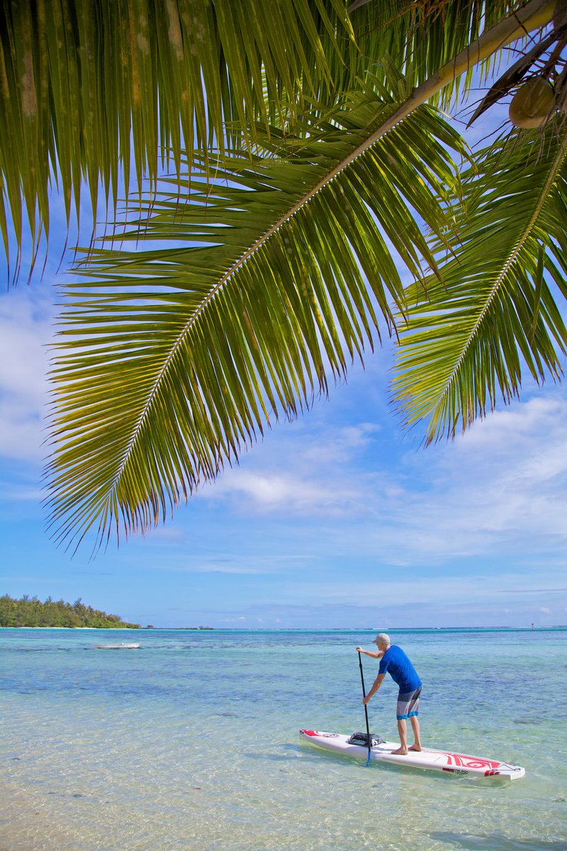 Tahiti Tourisme US (@TahitiTourism) | Twitter Tahiti Tourisme US (@TahitiTourism) | Twitter