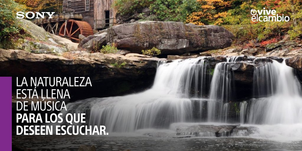 Tan sólo cierra los ojos y descubrirás algo mágico