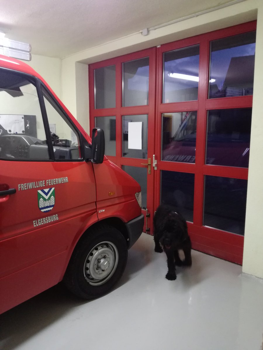 Feuerwehr - Hund "Sammy" 🐶🚒💨🐶