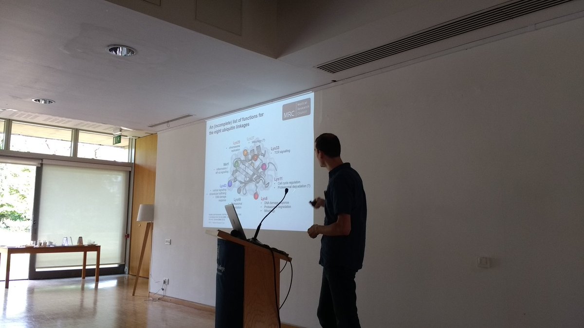 Malte Gersche talking about mitophagy, lys6-linked ubiquitin and USP30 #biochemevent @BiochemSoc