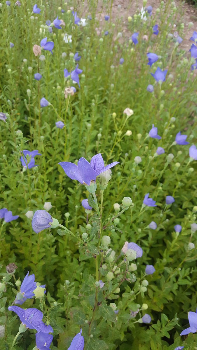 죽고 싶을 만큼의
마음의 상처를 받아도
세월이 지나면 치유가 돼지만
몸에 난 병은
치료 하지않으면 죽는다
몸이 건재해야 정신이 산다
건강을 잃으면 모든 것을 잃는다
건강은 건강했을때 지키세요.