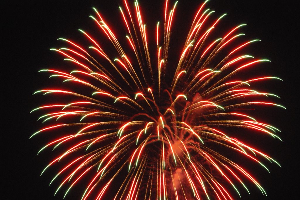 We have just a handful of spots left for Sat. July 1st Dinner/Fireworks cruise opportunitycruises.com