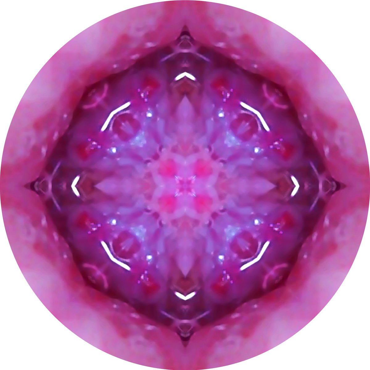 PerformART_'s tweet image. New article about @francescafini #performance!
Link article: performart.altervista.org/skin-tones/