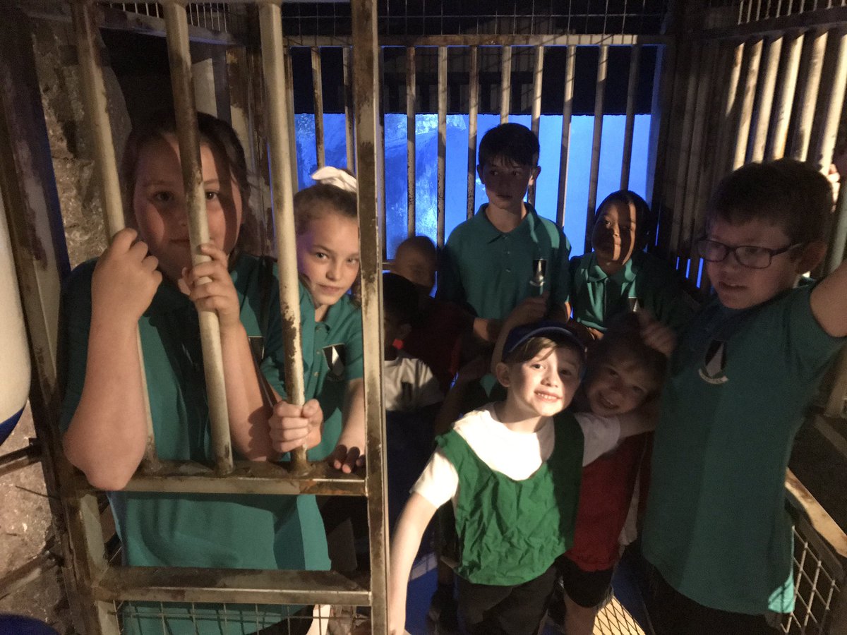 StCathsofSiena's tweet photo. Shark dipping cage. #dropthemin! https://t.co/TMZBJQ2GEU