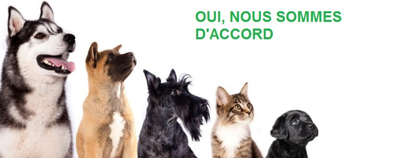 Chez Zipcar on adore les animaux de compagnie, mais surtout lorsqu'ils sont transportés dans un panier. Nos règles > ow.ly/1DLo30cTAV4