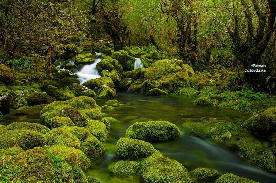 tripgeorgia2's tweet photo. #بارك_كولخيتي #جورجيا #السفر_الى_جورجيا #Kolkheti_National_park @travelzad @AhmedDabwan95 @SaaaaFr @BestTicketing @bosna_travel https://t.co/dFiH23S7aK