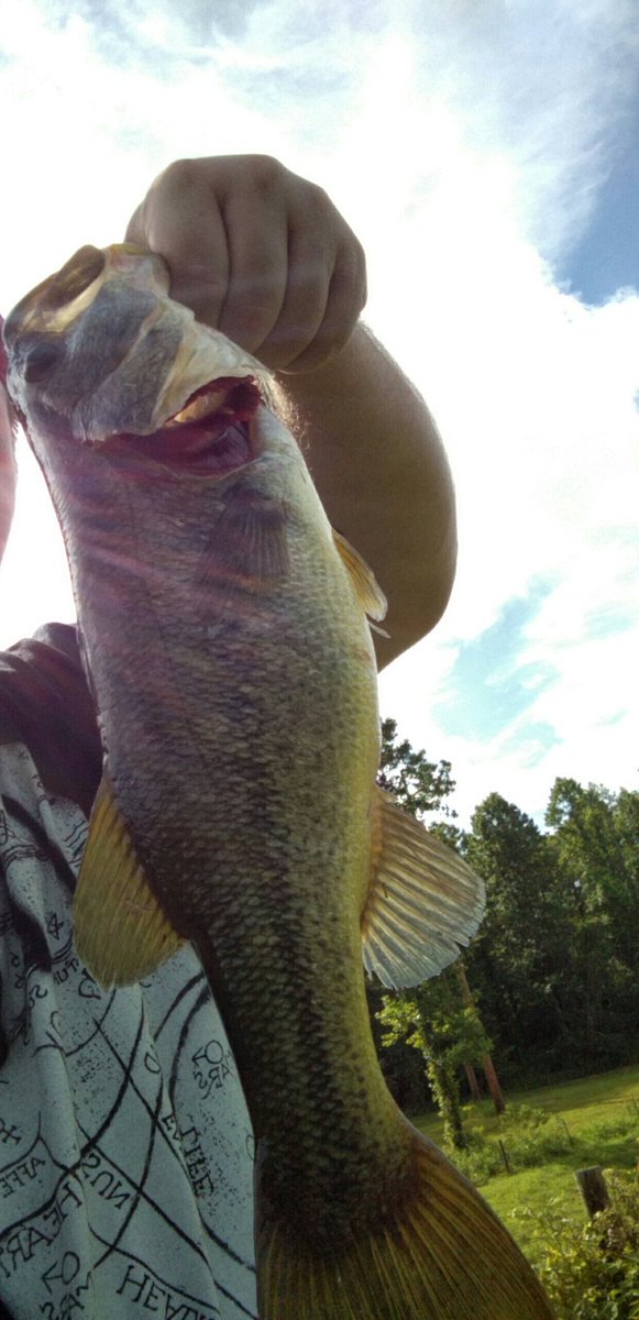 Nice little pond bass! #KyFishing #KayakFishing #KyBassin #YouTube #Subscribe